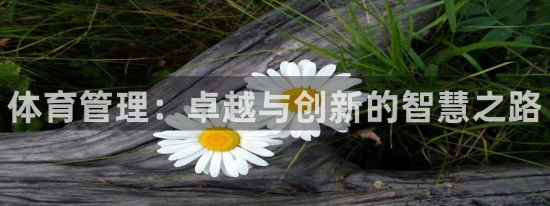 必一运动官网：体育管理：卓越与创新的智慧之路
