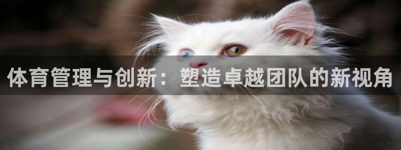 必一体育网站：体育管