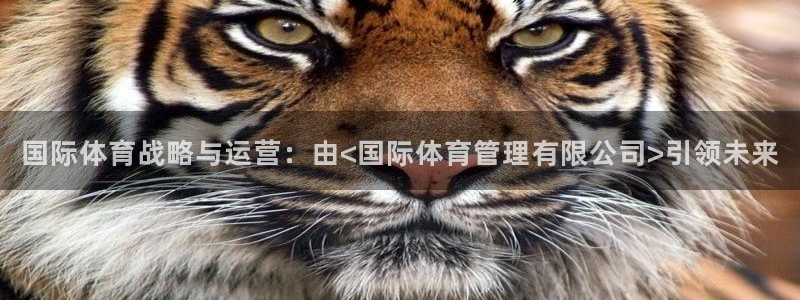b体育必一下载：国际