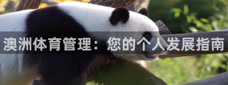 必一运动体育官网：澳