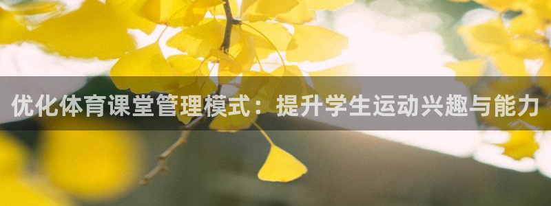 必一体育最新官网入口