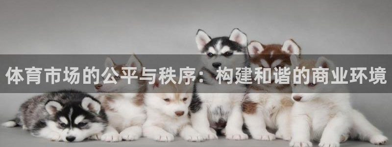 必一运动官网入口：体