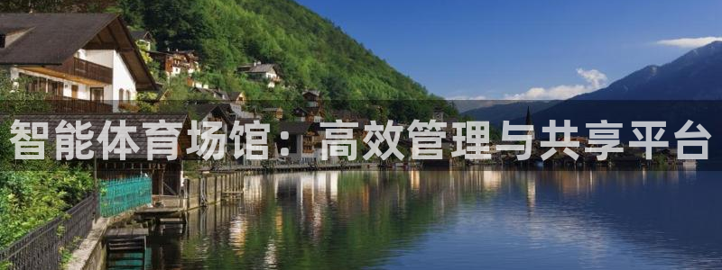 必一运动 b 体育素