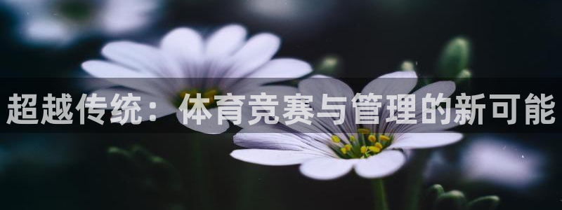 必一体育sport网