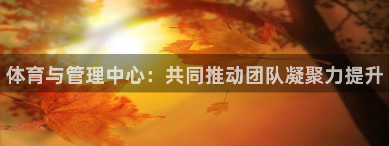 必一体育下载登入：体