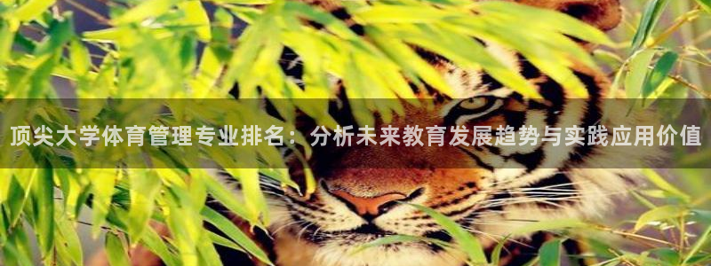 必一运动官网入口：顶
