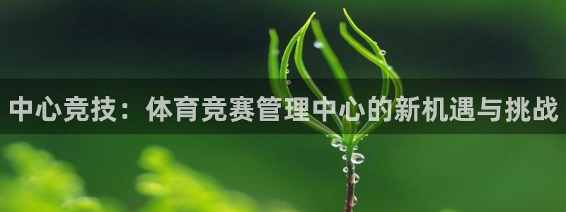 必一体育sport网