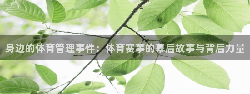 必一体育下载app下