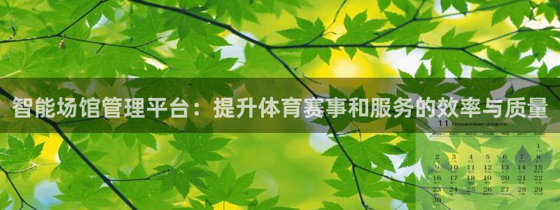 必一运动·体育：智能
