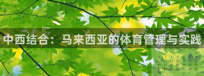 必一体育运动平台官网