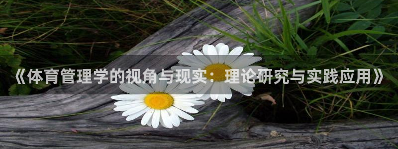 必一体育官方入口：《