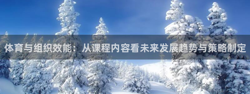 必一体育运动平台官网：体育与组织效能：从课程内容看未来发展趋
