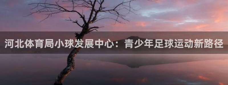 必一体育bsport