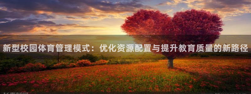 必一运动体育官网下载：新型校园体育管理模式：优化资源配置与提