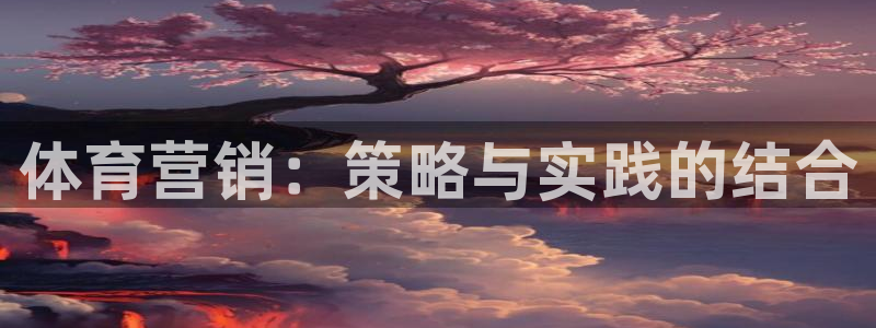 必一体育sport网页版：体育营销：策略与实践的结合