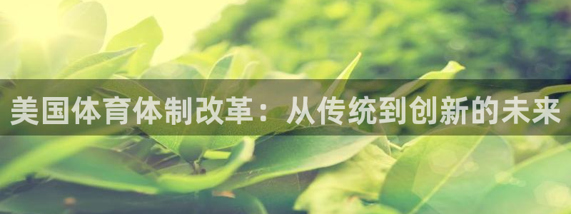 必一体育没了：美国体