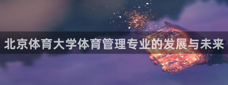 必一体育最新官网入口