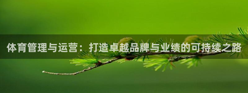 必一体育电子app：