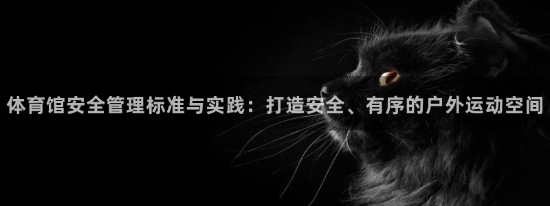 必一体育下载意思：体
