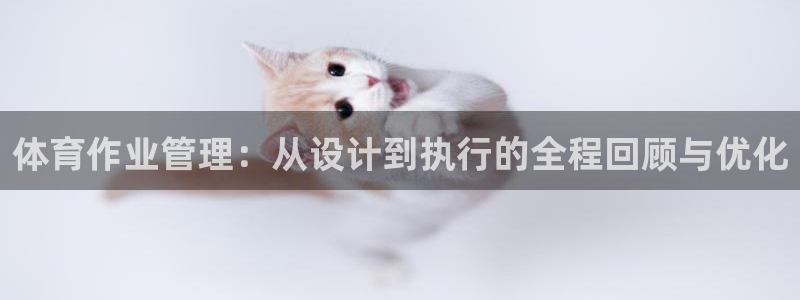 b体育必一运动网页版