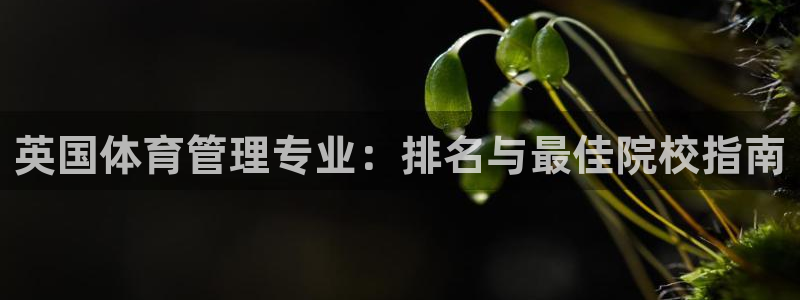 必一体育在线入口：英