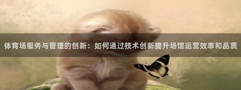 必一体育验证码：体育