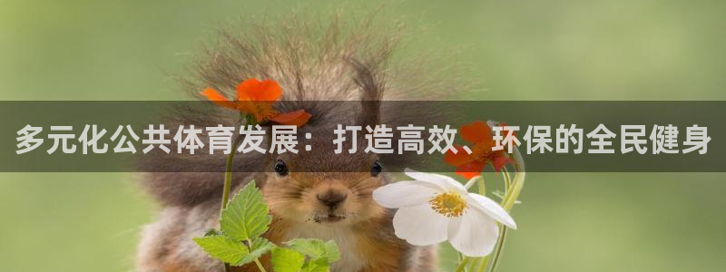 必一体育sport：