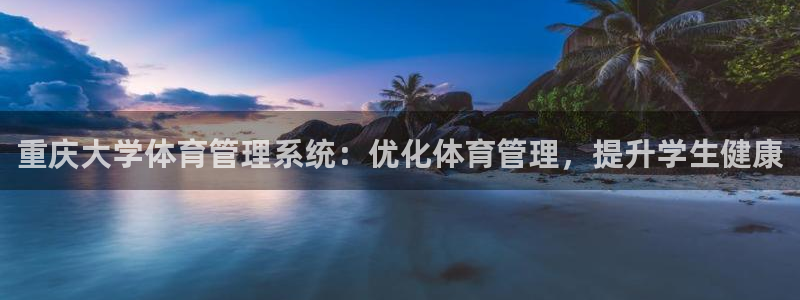 必一运动 b 体育素描版