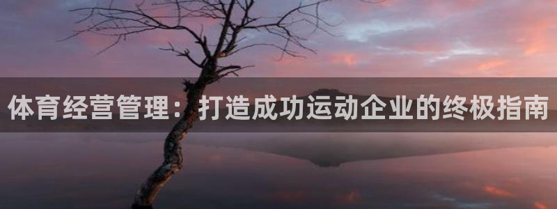 必一体育最新官网入口