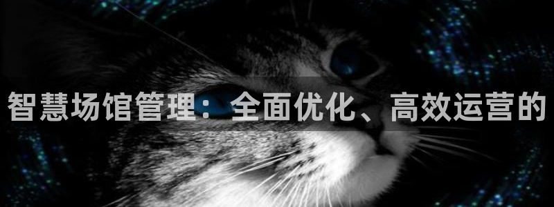 必一体育下载：智慧场