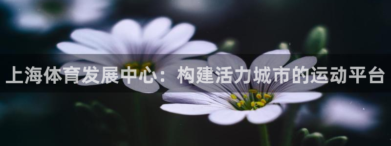 必一体育旧版：上海体