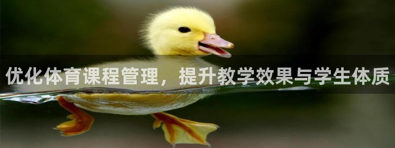 必一体育最新官网入口