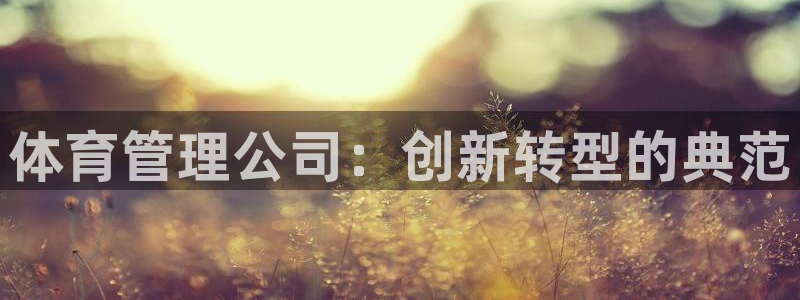 必一体育官方网站入口