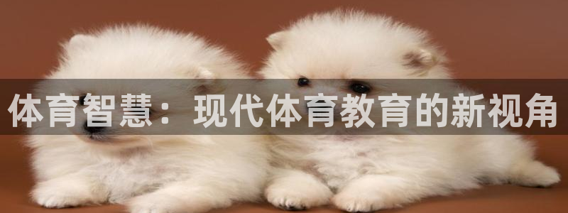 必一体育运动官网：体