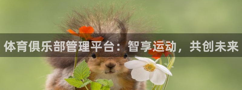 必一体育全站在线登录