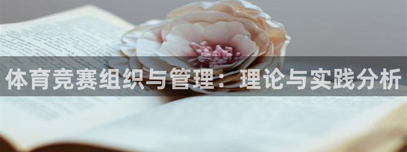 必一体育登录入口AP