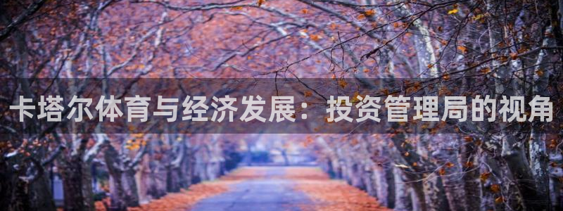 必一体育平台：卡塔尔