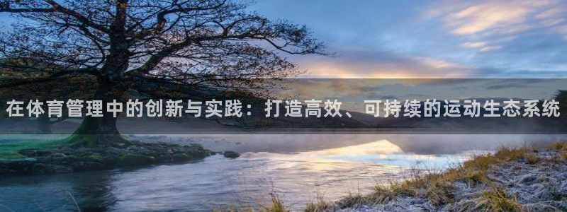 必一运动：在体育管理