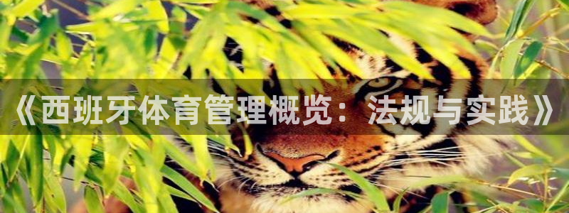 必一体育下载秀给网：