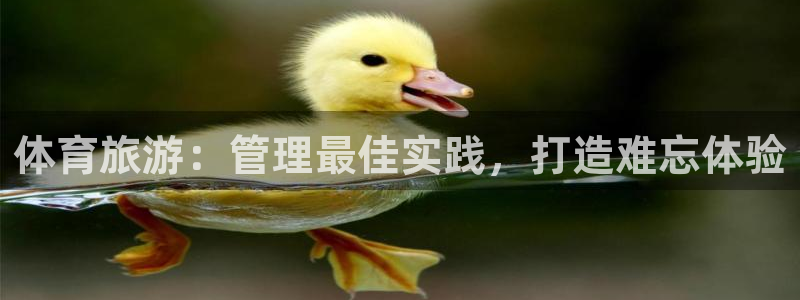 必一体育官方app下载