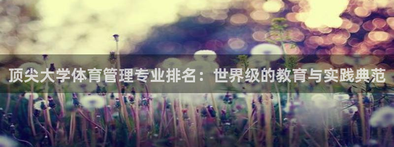 必一体育sport下