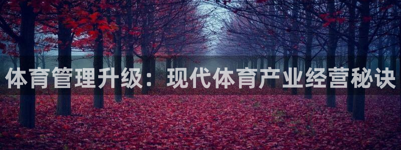 必一体育官网网址