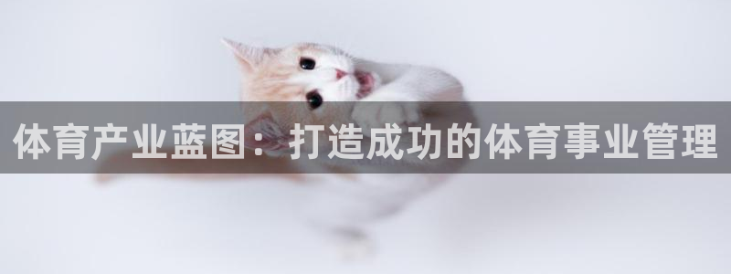 必一体育官网ios下载