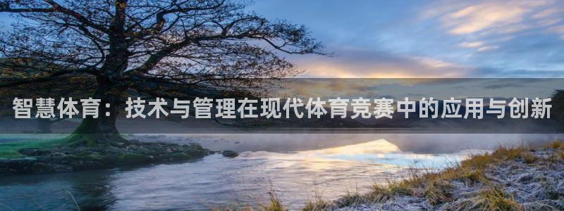 必一体育下载秀给网：智慧体育：技术与管理在现代体育竞赛中的应