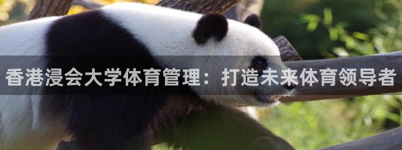 必一体育运动app下载