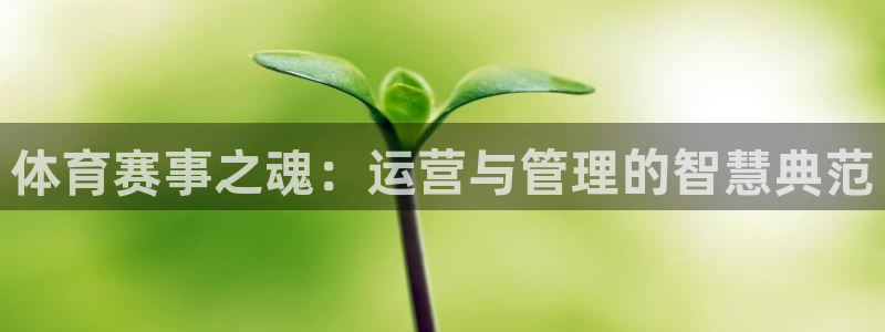 必一体育验证码：体育