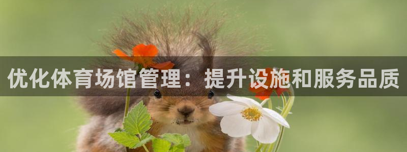 必一体育bsport2023-04-21：优化体育场馆管理：