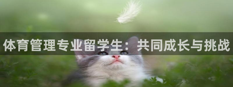 必一体育运动下载：体