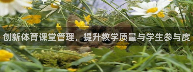 必一体育在线玩：创新