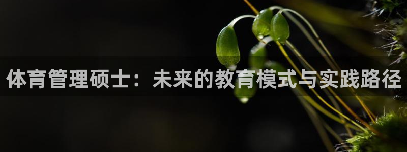 必一体育是哪里的台子